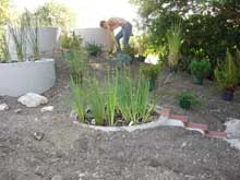 la plantation